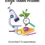 tkanki roślinne lekcja pani od biologii
