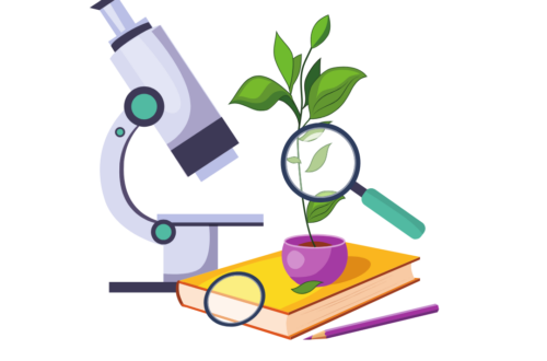 tkanki roślinne lekcja pani od biologii