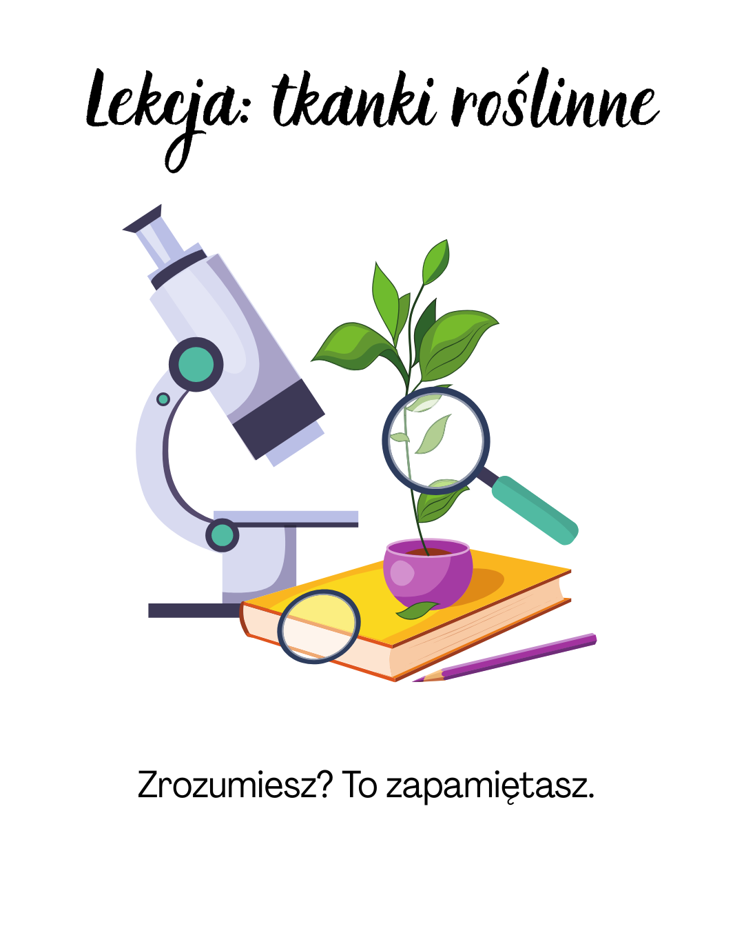 tkanki roślinne lekcja pani od biologii